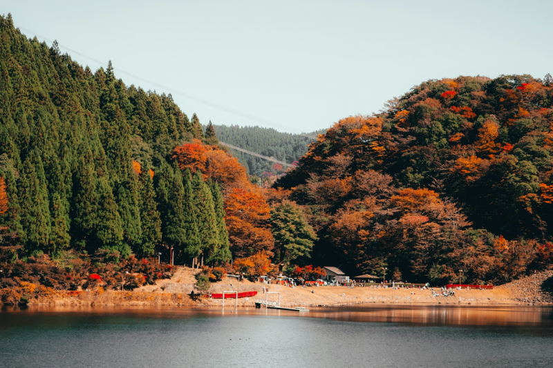 紅葉した森を奥に望む湖。群馬・安中