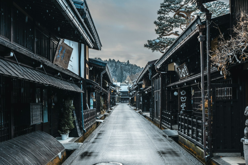 木々の間から日本の城の天守閣が見える様子。愛知・名古屋城